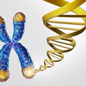 Chromosomes